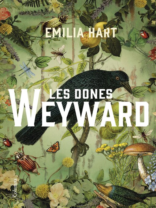 Cover image for Les dones Weyward
